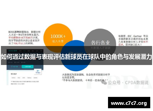 如何通过数据与表现评估新球员在球队中的角色与发展潜力