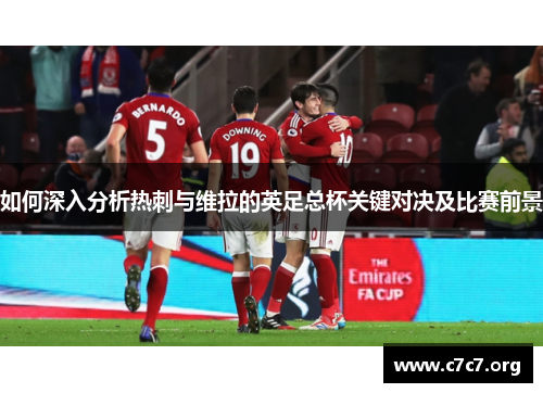 如何深入分析热刺与维拉的英足总杯关键对决及比赛前景