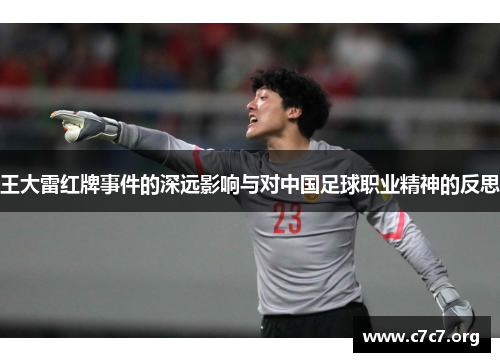王大雷红牌事件的深远影响与对中国足球职业精神的反思