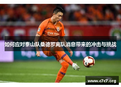如何应对泰山队桑德罗离队消息带来的冲击与挑战