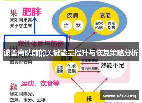 波普离队前的关键能量提升与恢复策略分析