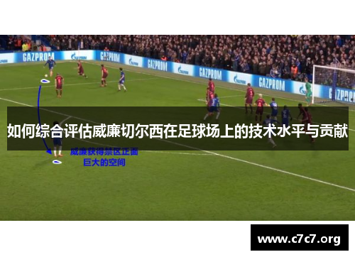 如何综合评估威廉切尔西在足球场上的技术水平与贡献