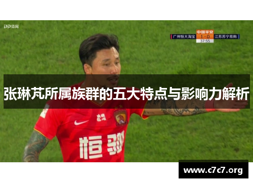 张琳芃所属族群的五大特点与影响力解析