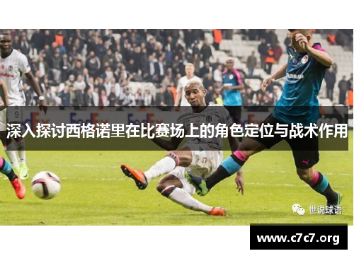 深入探讨西格诺里在比赛场上的角色定位与战术作用