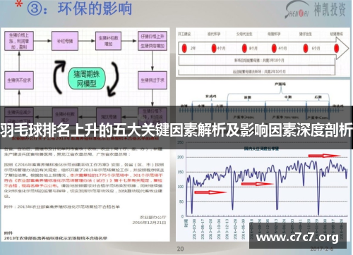 羽毛球排名上升的五大关键因素解析及影响因素深度剖析