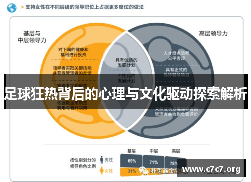 足球狂热背后的心理与文化驱动探索解析