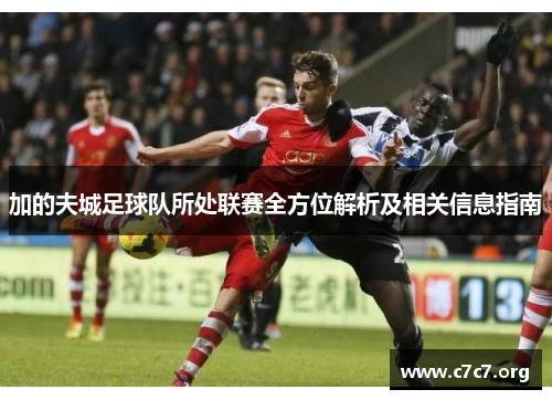 加的夫城足球队所处联赛全方位解析及相关信息指南