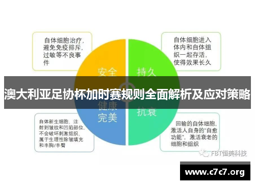 澳大利亚足协杯加时赛规则全面解析及应对策略 澳大利亚足协杯加时赛规则全面解析及应对策略