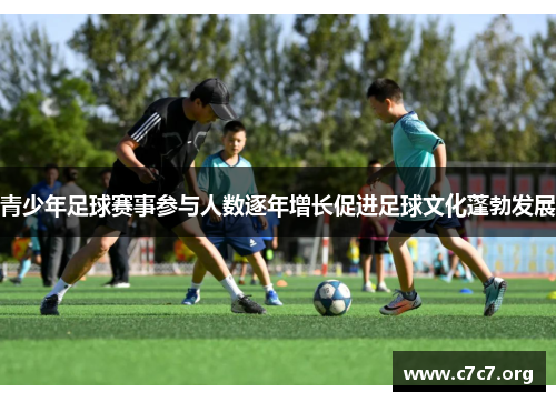 青少年足球赛事参与人数逐年增长促进足球文化蓬勃发展