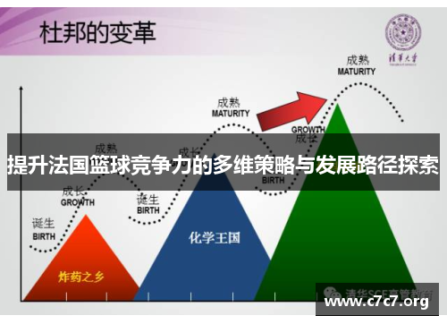 提升法国篮球竞争力的多维策略与发展路径探索 提升法国篮球竞争力的多维策略与发展路径探索