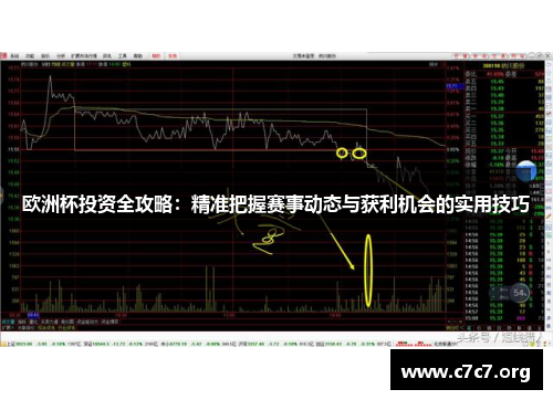 欧洲杯投资全攻略：精准把握赛事动态与获利机会的实用技巧