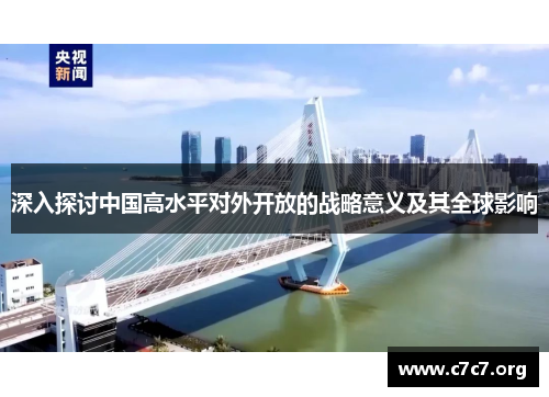 深入探讨中国高水平对外开放的战略意义及其全球影响