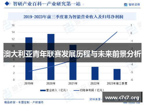 澳大利亚青年联赛发展历程与未来前景分析