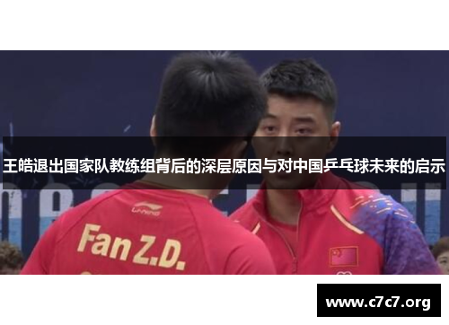 王皓退出国家队教练组背后的深层原因与对中国乒乓球未来的启示