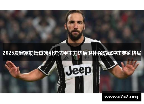 2025夏窗富勒姆重磅引进法甲主力边后卫补强防线冲击英超格局