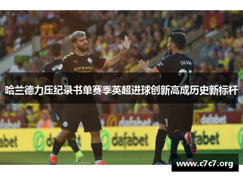 哈兰德力压纪录书单赛季英超进球创新高成历史新标杆