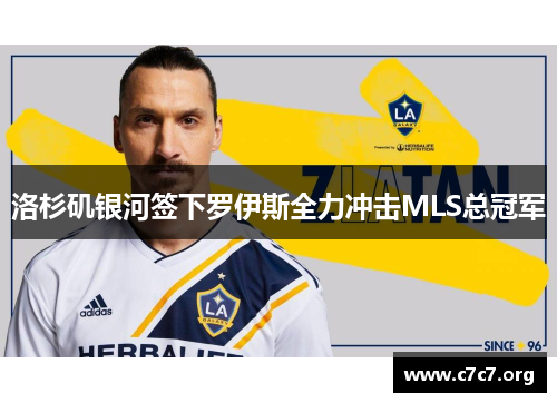 洛杉矶银河签下罗伊斯全力冲击MLS总冠军