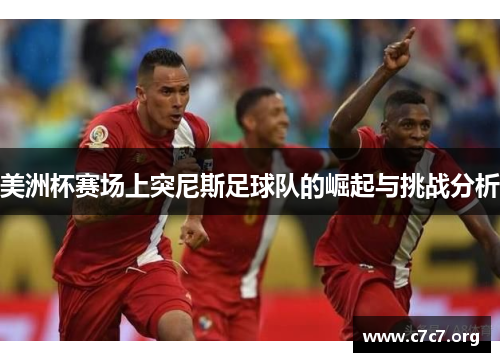 美洲杯赛场上突尼斯足球队的崛起与挑战分析