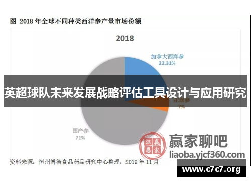 英超球队未来发展战略评估工具设计与应用研究