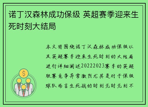 诺丁汉森林成功保级 英超赛季迎来生死时刻大结局