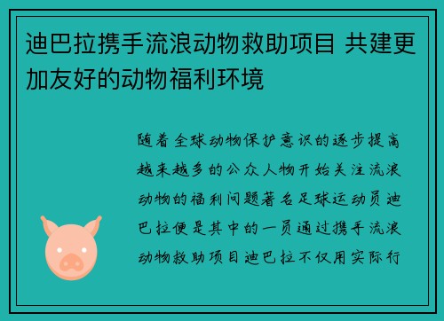 迪巴拉携手流浪动物救助项目 共建更加友好的动物福利环境