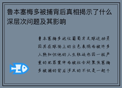 鲁本塞梅多被捕背后真相揭示了什么深层次问题及其影响