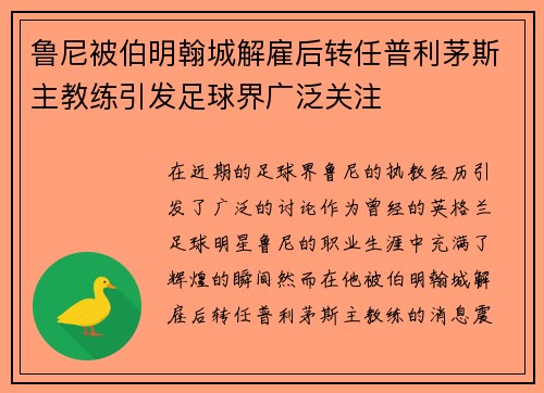鲁尼被伯明翰城解雇后转任普利茅斯主教练引发足球界广泛关注